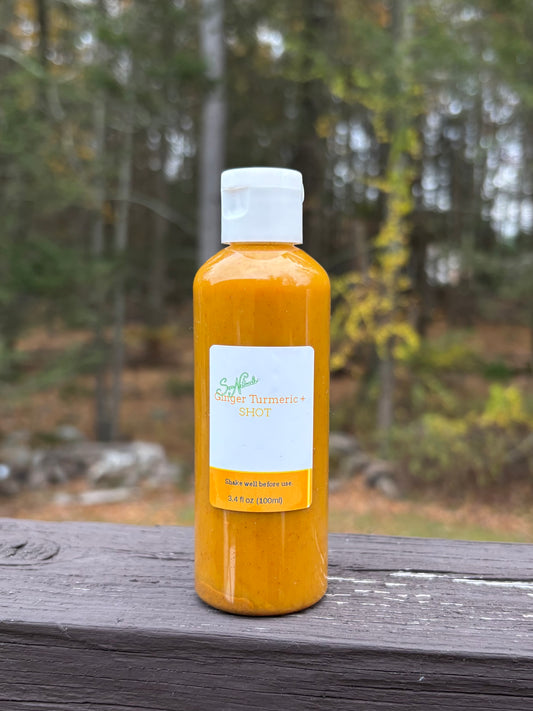 Turmeric Ginger Shot +